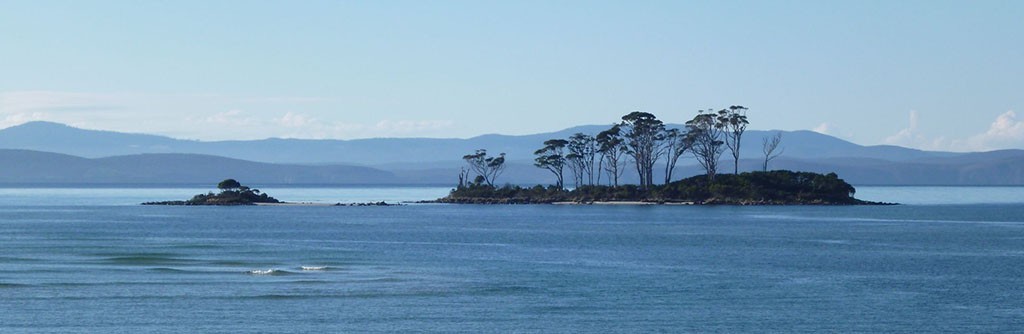 Pelican Island Southport Bay