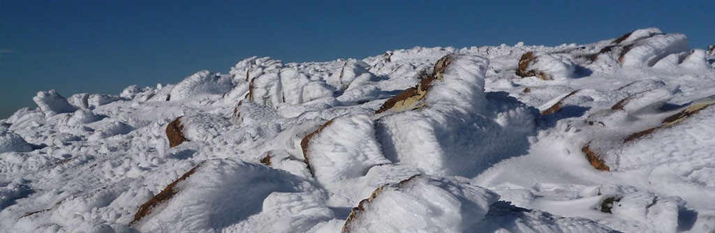 Hartz Mountains