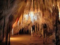Hastings Caves And Thermal Pool