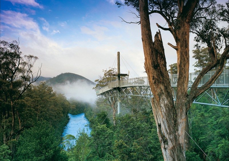 Tahune Forest Airwalk
