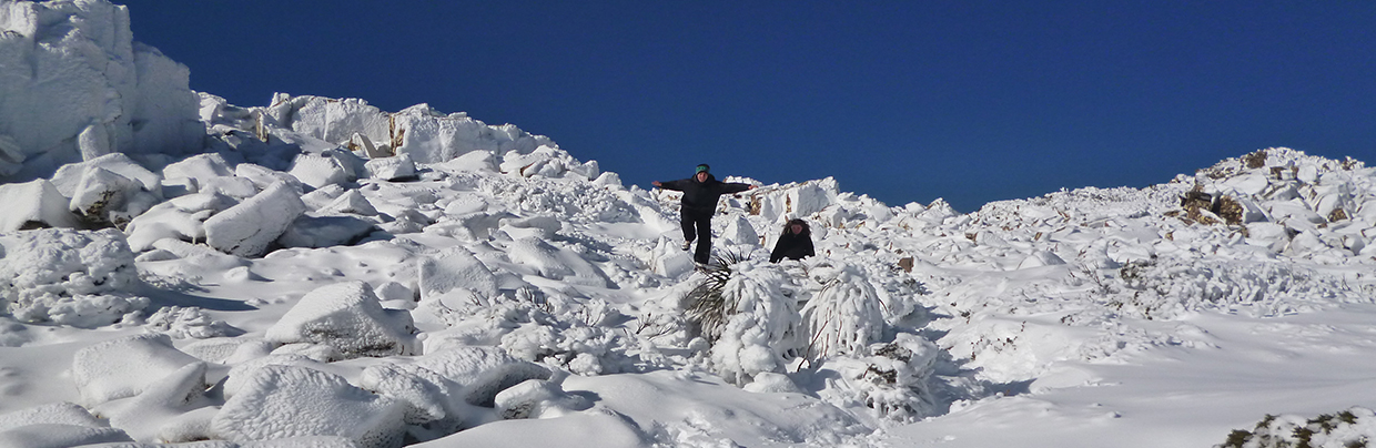 Hartz Mountain