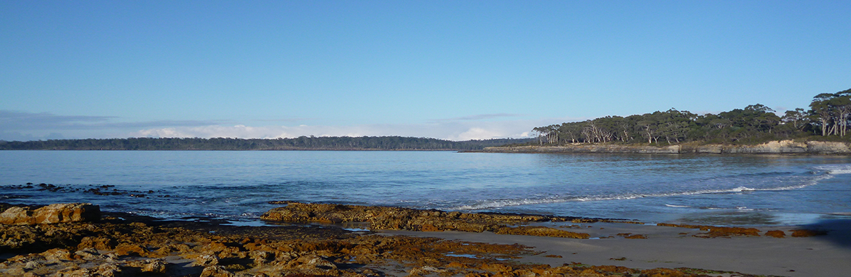 Roaring Beach