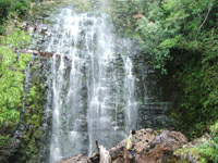 Adamsons Falls