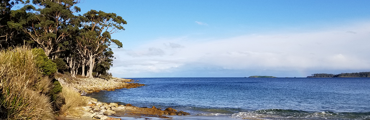 Near Roaring Beach