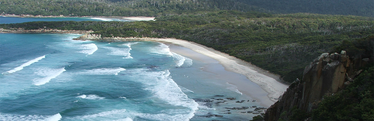 Southcoast