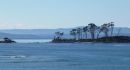 Pelican Island Southport Bay
