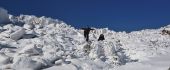 Hartz Mountain